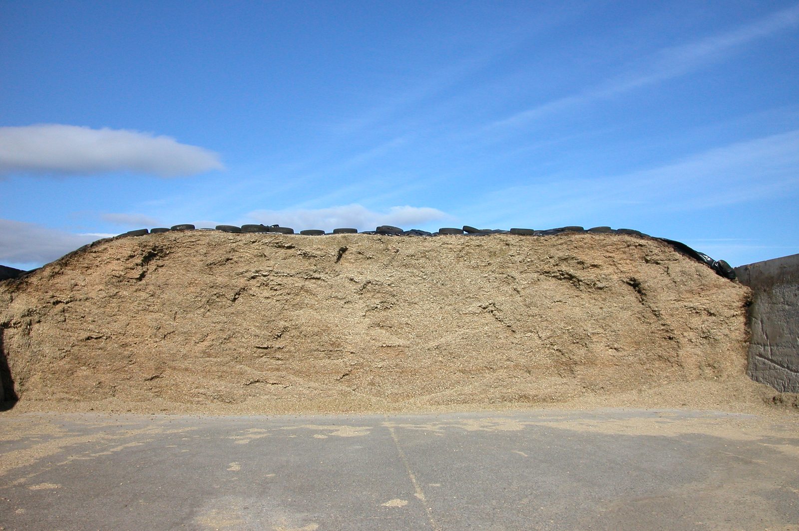Corn silage pit