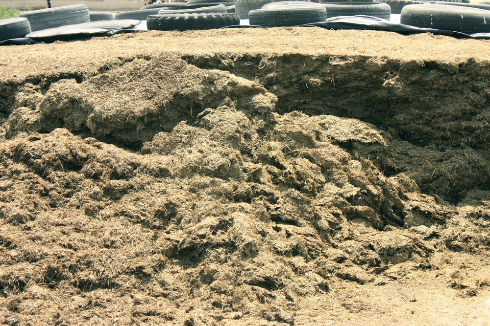 Silicone-treated grass silage