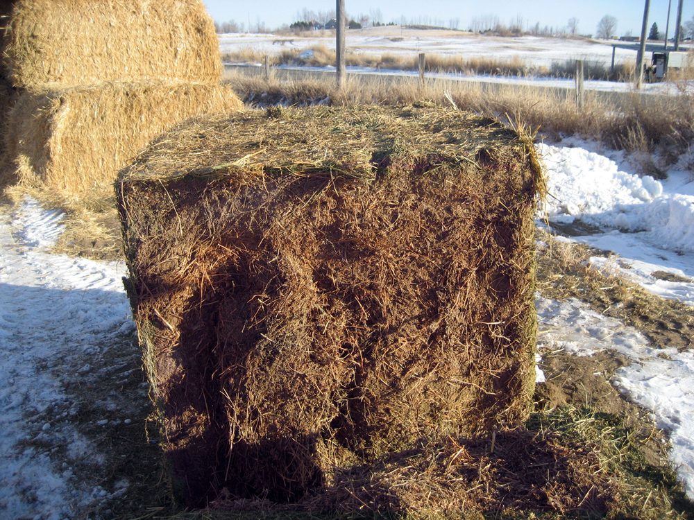Untreated hay bale — browned and weathered interior